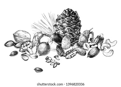 Border with hand drawn edible nuts. Vector illustration