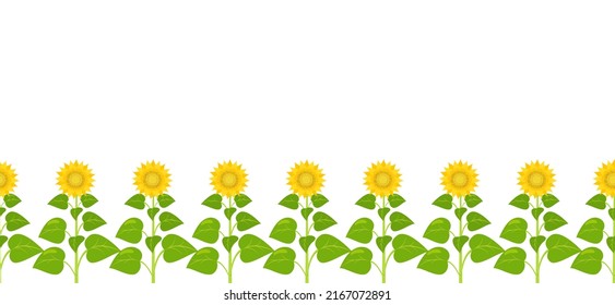 Borde horizontal con girasoles. Vector de fondo floral sin fisuras.