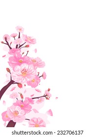 Border Illustration Featuring Cherry Blossoms in Full Bloom