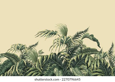 Border with jungle and tropical leaves. Vector