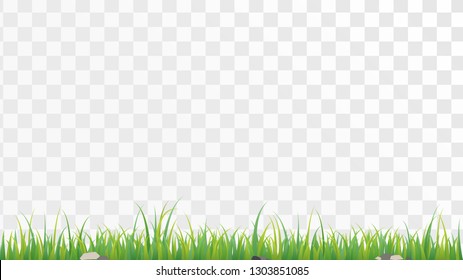 Border lawn texture, green grass on a transparent background, meadow, field