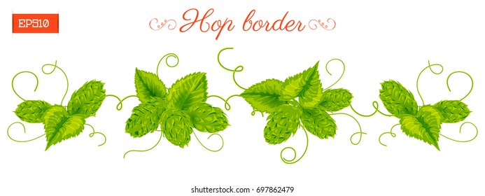 Border of leaves and cones of hops plant isolated on white, Vector illustration. Hand drawing