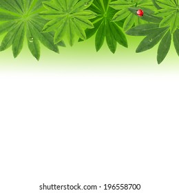 Border Leaves, With Gradient Mesh, Vector Illustration