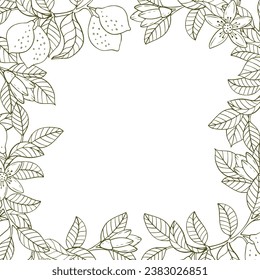 A border of lemon twigs and lemons. A composition of citrus fruits in a graphic style. Vector illustration isolated on a white background.