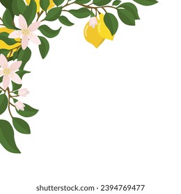 A border of lemon twigs and lemons in the corner of the composition. Vector illustration isolated on a white background.