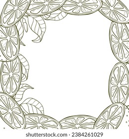 A border of lemon twigs and lemon slices. A composition of citrus fruits in a graphic style. Vector illustration isolated on a white background.