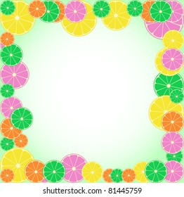 border made of fruits. orange, lemon, lime, grapefruit. vector