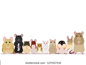 border of mice breeds