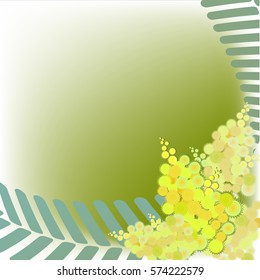 border with mimosa on green background, vector illustration
