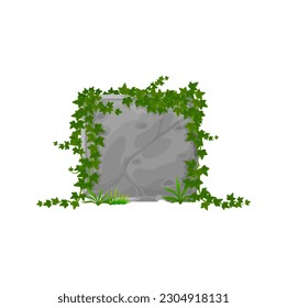 Border with natural ive branches, garden summer foliage on stone. Vector stone board with ivy leaves, cartoon climping hedera on jungle rock panel