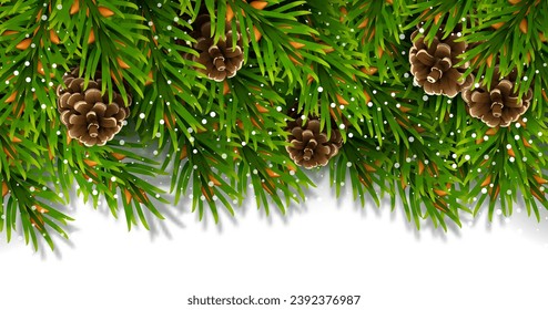 Border on top is made of evergreen fir branches, pine cones and snowflakes, copy space . For Christmas decorations and greeting cards design. Isolated  white background. Realistic vector  
