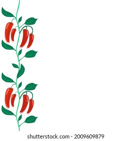 Border, ornament or other design with chili peppers in red and green colors. Colorful vector design for a menu, stationary or other template. 