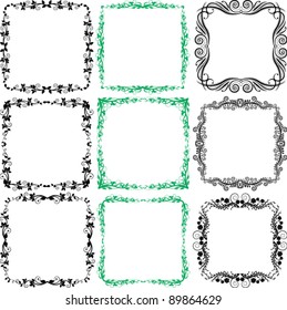border ornamental plant