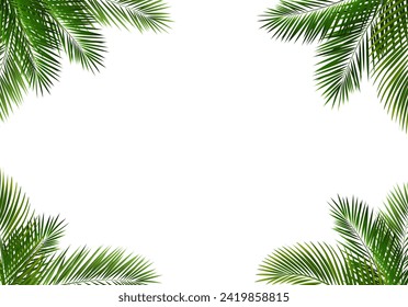 Border With Palm Tree Leaves With Gradient Mesh, Vector Illustration