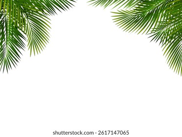 Border With Palm Tree Leaves With Gradient Mesh, Vector Illustration