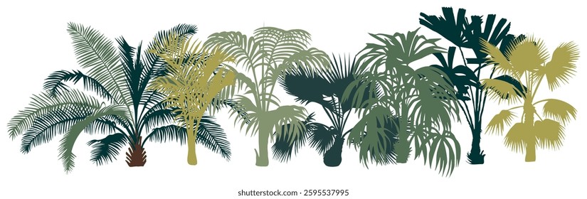 A border of palm trees are shown in various sizes and positions isolated on white background. The trees are all green and have long, thin leaves. Concept of tropical paradise and relaxation.