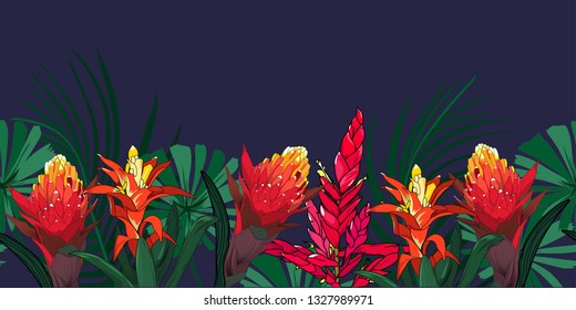 border pattern of hand drawn bromeliad flowers garden in vector