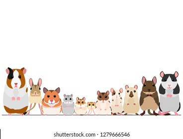 border of pet rodents