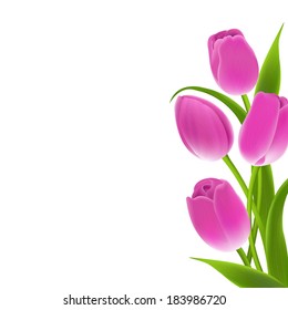 Border Of Pink Tulips, With Gradient Mesh, Vector Illustration