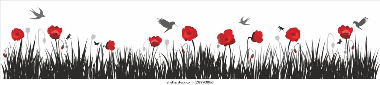 border with Poppies, Vector horizontal pattern on white background