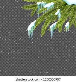 Border with realistic fir tree, snow and icicles over transparent background. Winter snowfall. Design template for merry christmas. Vector illustration.