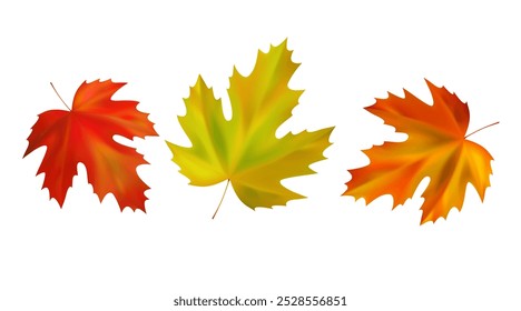 Borde de hojas de otoño de arce realistas. Hojas de arce naranja, amarillo y rojo se arremolinan en el viento. Ilustración vectorial