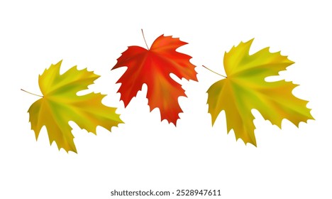 Border of realistic maple autumn leaves. Orange, yellow, red maple fall leaves swirl in the wind. Vector illustration