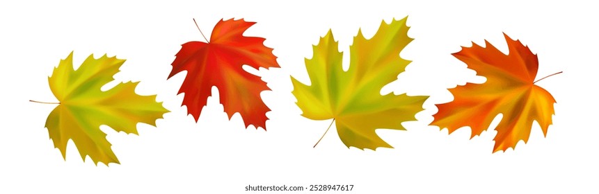 Border of realistic maple autumn leaves. Orange, yellow, red maple fall leaves swirl in the wind. Vector illustration