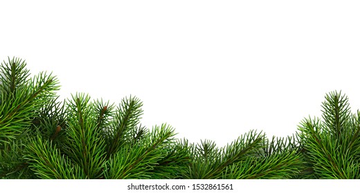 A border of realistic spruce branches. Design element for Christmas or New Year greeting card.