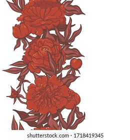Borde con peonías rojas aislar sobre un fondo blanco .Vector gráfico.