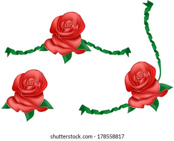 border roses