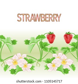 Border seamless background  of strawberries  with flowers and  leaves  healthy eating vector Illustration for use in interior design, artwork, dishes, clothing, packaging
