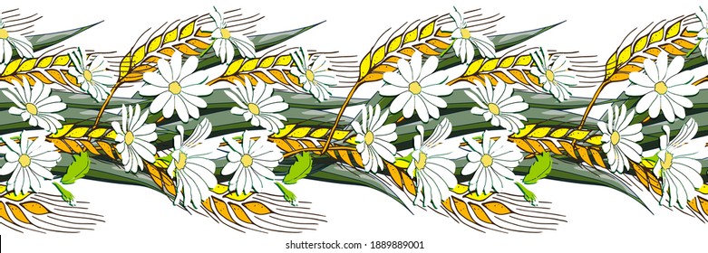 Border, seamless pattern  Bouquet of green grass and flowers daisy wheel, ears of rye or wheat  Gold spikelet, spica, isolated on white  background. Sketch, hand drawing Flat vector illustration