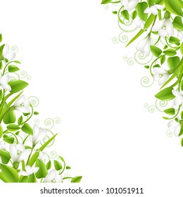 Border Snowdrops With Leaf, Isolated On White Background, Vector Illustration