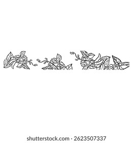 border soybean plants black and white illustration hand made vector