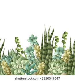 Borde con suculentos y cactus. Vector