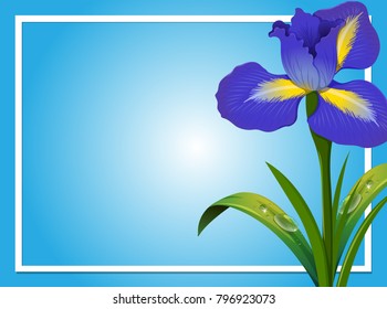 Border template with blue iris illustration