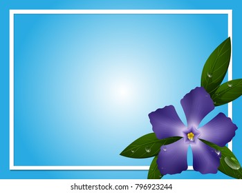 Plantilla de borde con ilustración de flor perwinkle azul