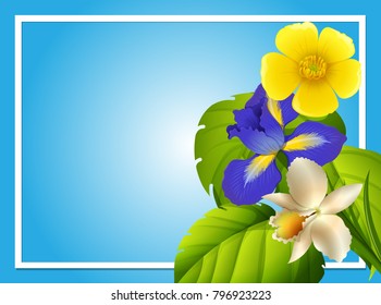 Border template with colorful flowers in garden illustration