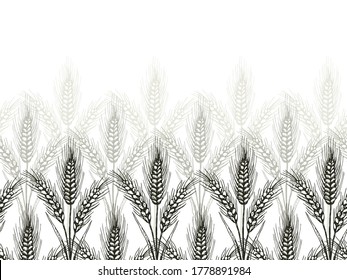 Plantilla de borde con orejas de trigo. Plantilla para banner, afiche, diseño de empaquetado. Ilustración vectorial dibujada a mano.