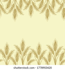 Plantilla de borde con orejas de trigo. Plantilla para banner, afiche, diseño de empaquetado. Ilustración vectorial dibujada a mano.
