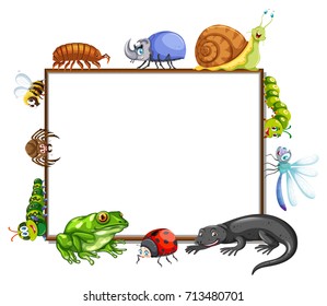 Border template with many insects illustration