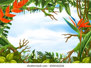 Border template with tropical rainforest illustration