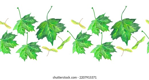 Border template with watercolor maple leaves and seeds. For printing wrapping paper, packaging, fabric. Hand Drawn vector illustration.