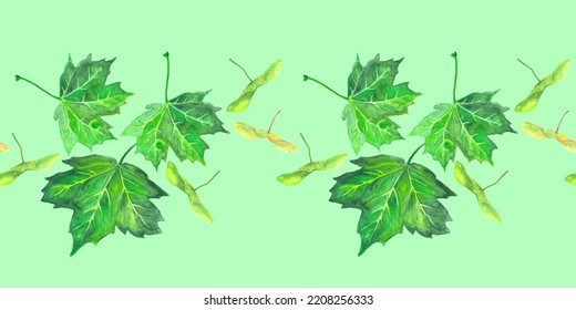 Border template with watercolor maple leaves and seeds. For printing wrapping paper, packaging, fabric. Hand Drawn vector illustration.