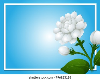 Border template with white jasmine flowers illustration