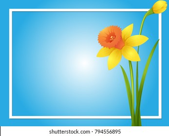 Border template with yellow daffodil illustration