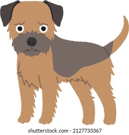 The Border Terrier is a British breed of small, rough-coated terrier. The Border Terrier was bred to have long enough legs to keep up with the horses and other foxhounds.