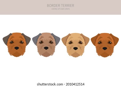 Border terrier clipart. Different coat colors and poses set.  Vector illustration