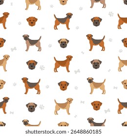 Border terrier clipart. Diferentes cores de casaco e poses conjunto.  Ilustração vetorial